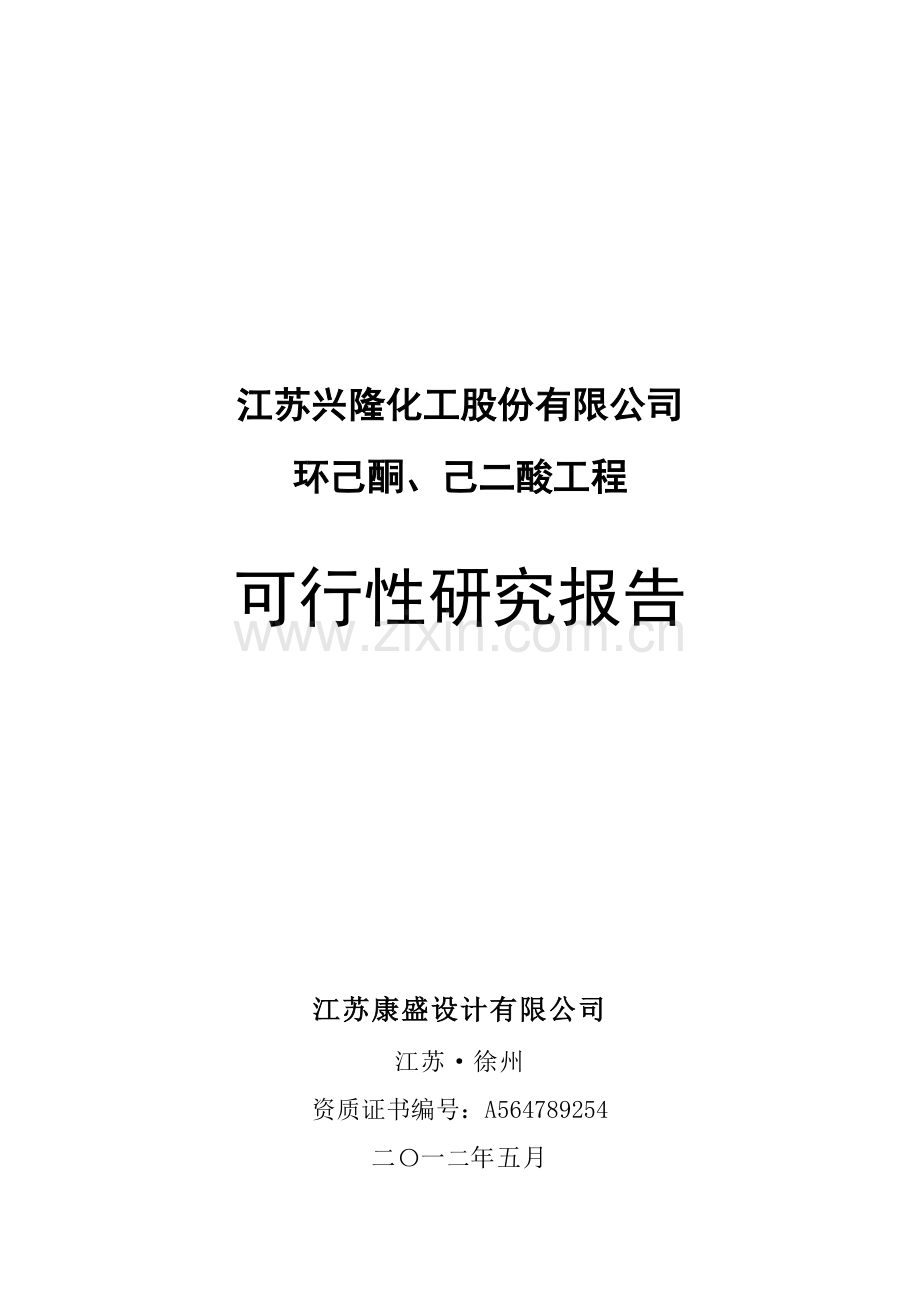 化工公司环己酮及己二酸工程项目申报可行性研究报告.doc_第1页