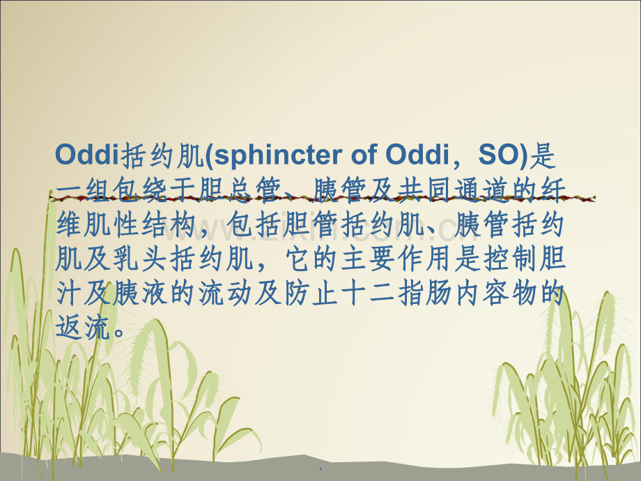 Oddi括约肌功能障碍(SOD).ppt_第2页