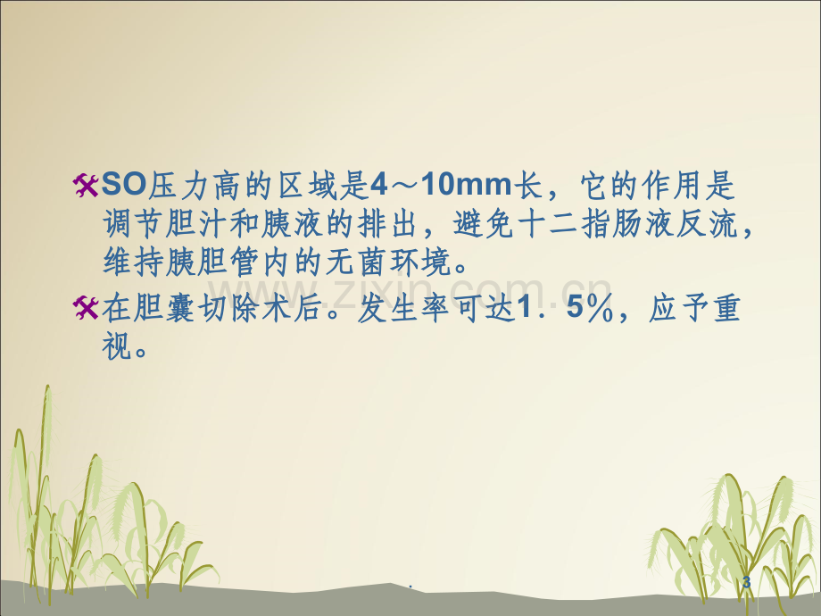 Oddi括约肌功能障碍(SOD).ppt_第3页