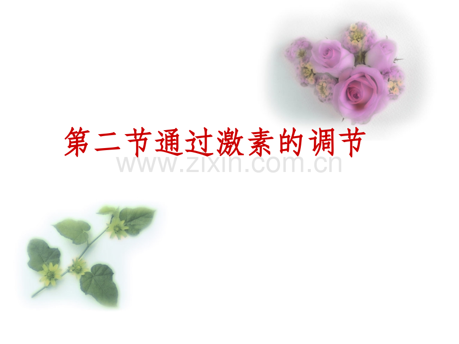 通过激素调节(一轮复习).ppt_第1页