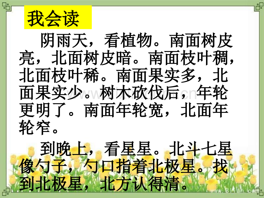 --大自然的指南针.ppt_第3页