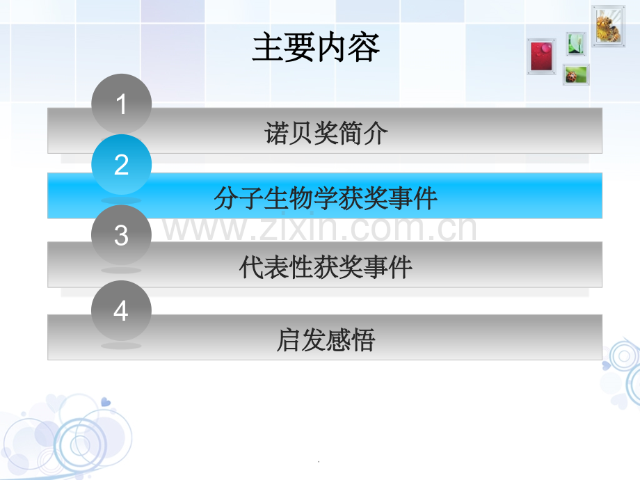 分子生物学诺贝尔奖获得者.ppt_第2页