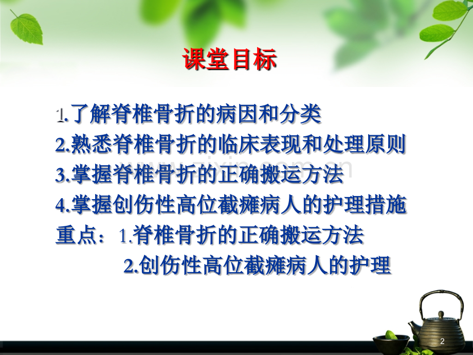 脊柱与脊髓损伤及护理.ppt_第2页