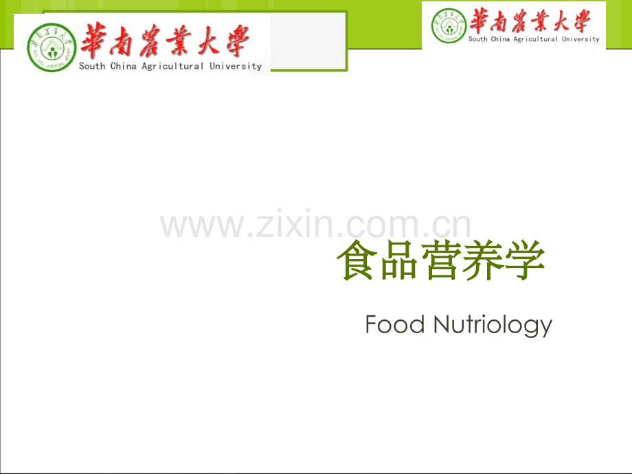 食品营养学第三章-碳水化合物.ppt_第1页