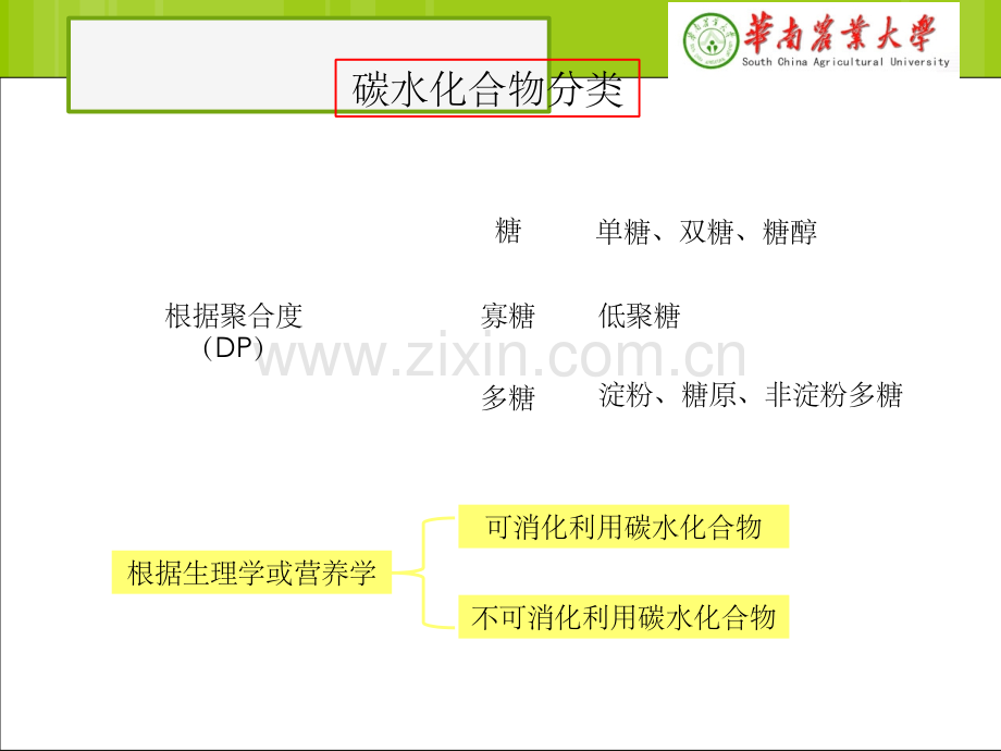 食品营养学第三章-碳水化合物.ppt_第3页