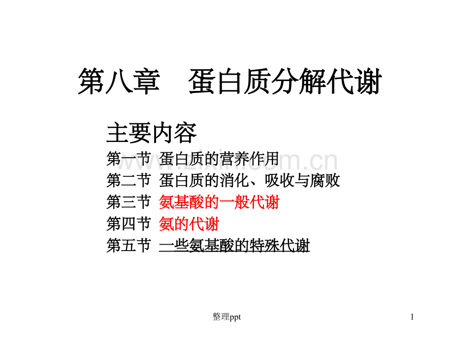 《蛋白质分解代谢》.ppt_第1页