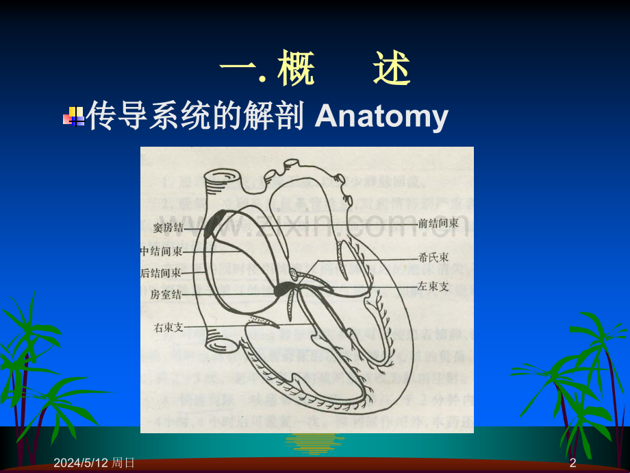 心律失常.ppt_第2页