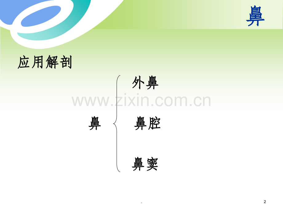 鼻的解剖.ppt_第2页