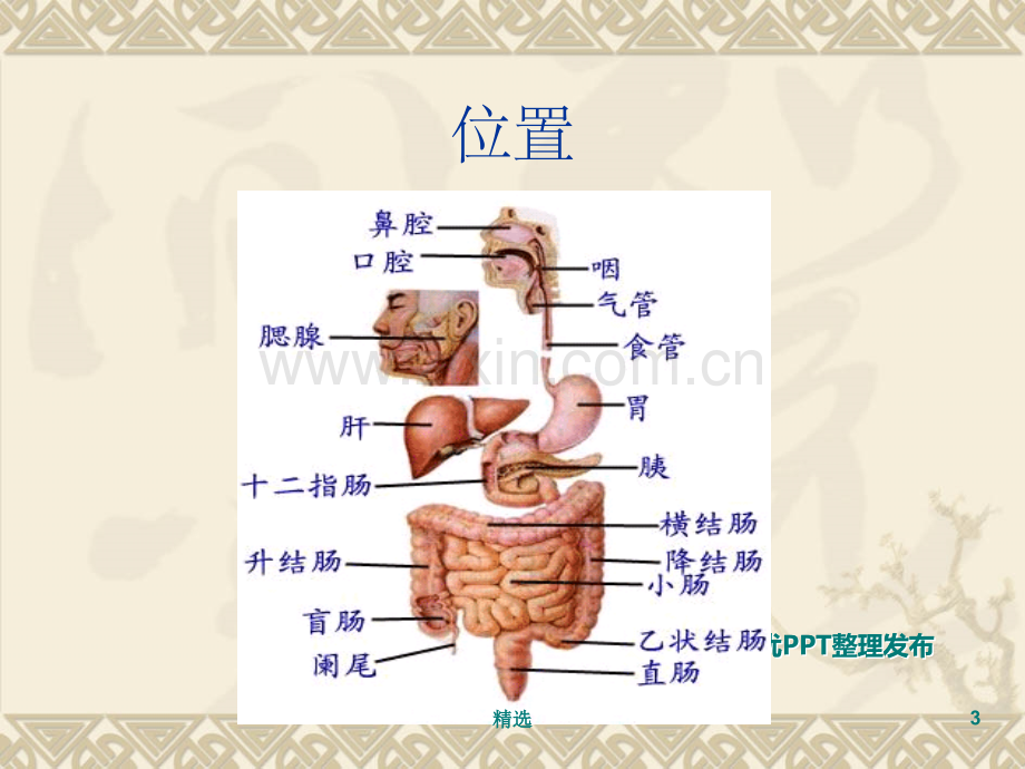 胃病课题1.ppt_第3页