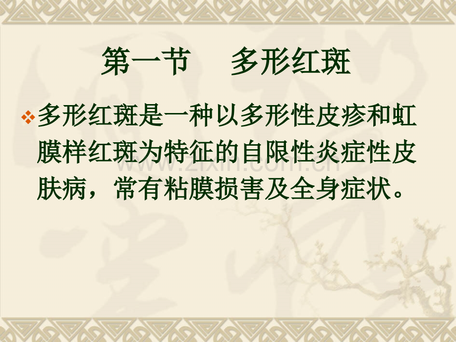 红斑丘疹性皮肤病.ppt_第2页