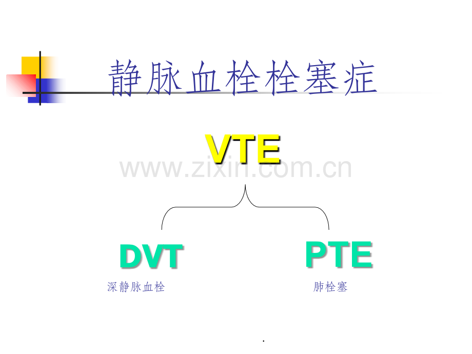 下肢静脉血栓形成机制.ppt_第2页