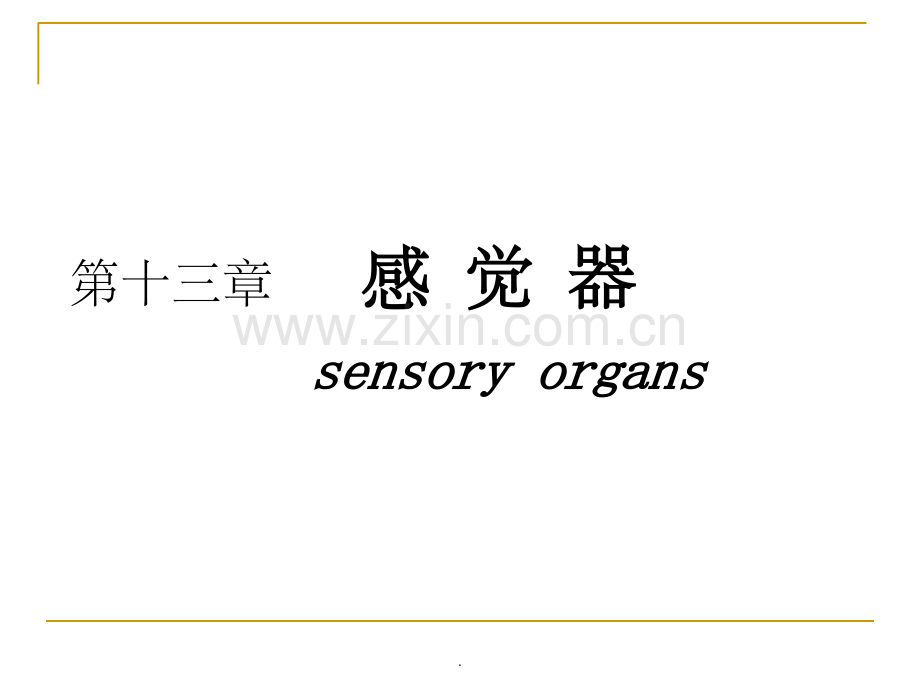 人体解剖学——感觉器官.ppt_第1页