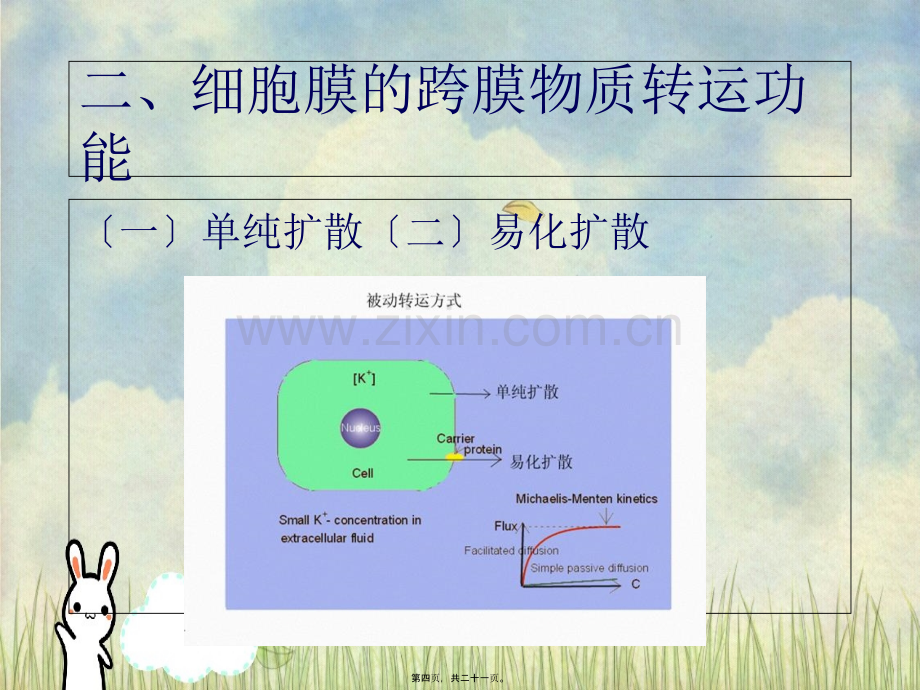 人体的基本生理功能.pptx_第3页