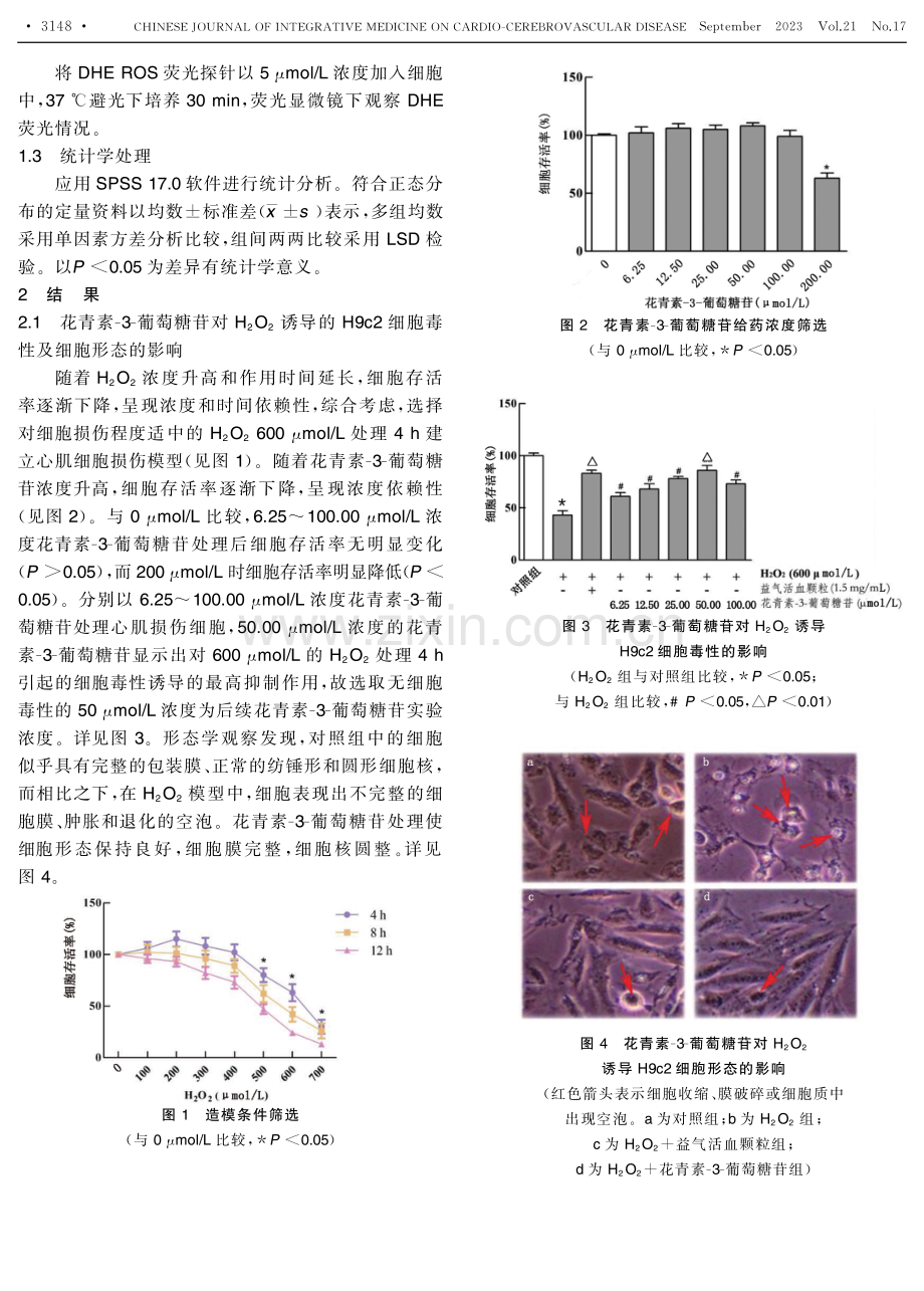花青素-3-葡萄糖苷干预过氧化氢诱导的H9c2细胞损伤的作用机制.pdf_第3页