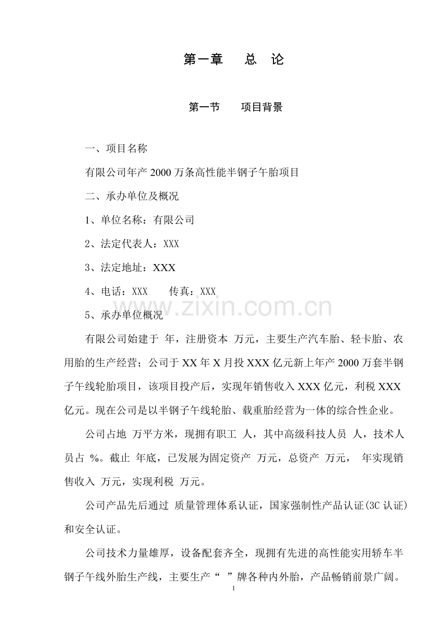 年产2000万条高性能半钢子午胎项目可行性研究报告书.doc_第1页