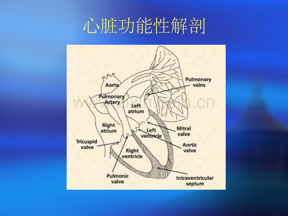 血流动力学监测的生理学概念.ppt_第2页