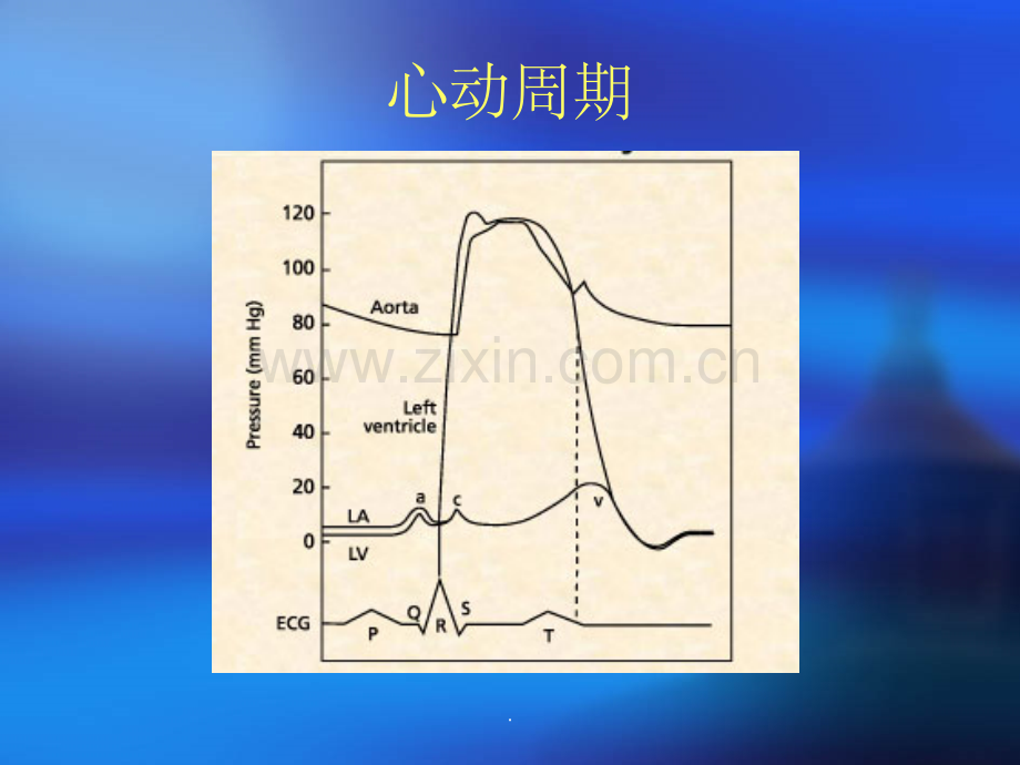 血流动力学监测的生理学概念.ppt_第3页