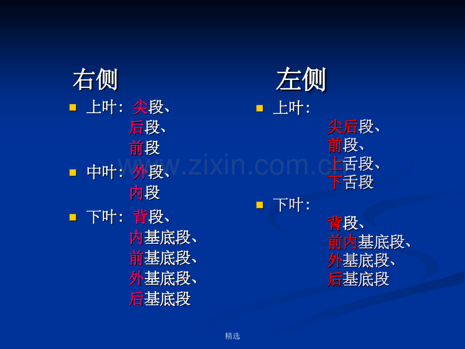 肺、肝的分叶分段.ppt_第2页