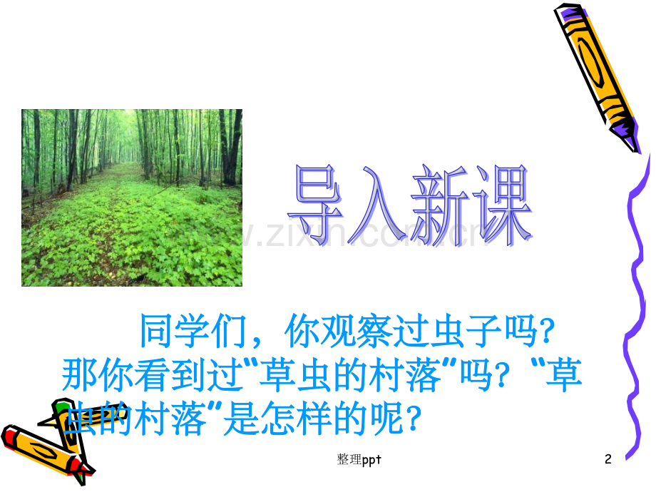 《草虫的村落》-.ppt_第2页