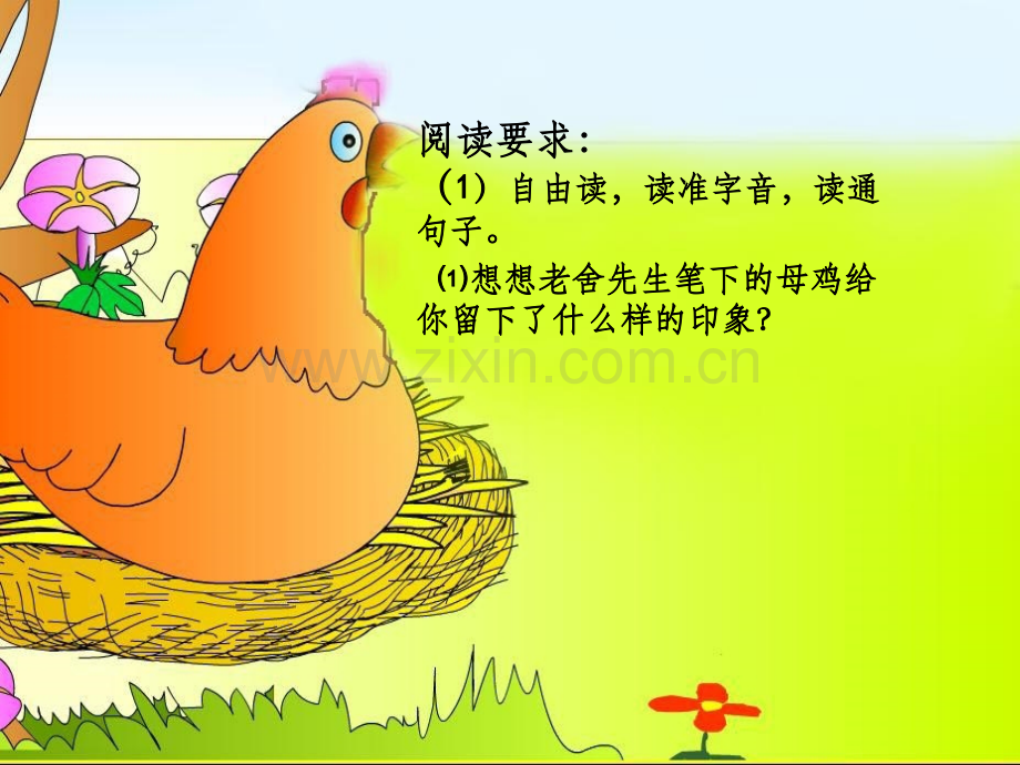 老舍《母鸡》.ppt_第2页