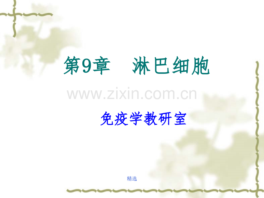 淋巴细胞.ppt_第1页