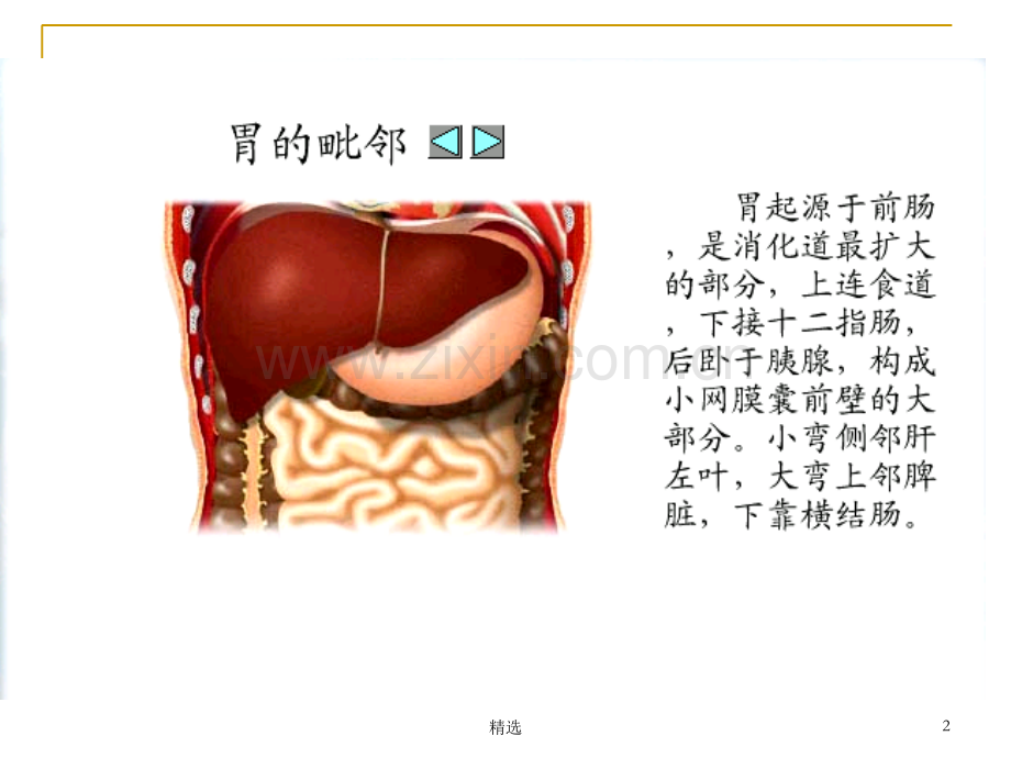 胃十二指肠疾病病人的护理.ppt_第2页