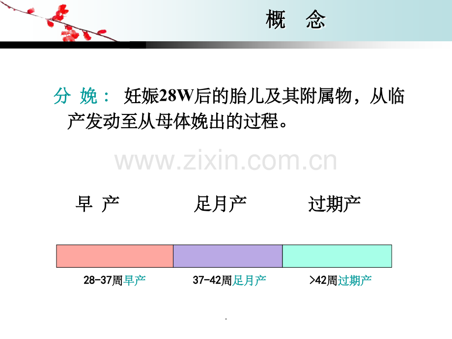 孕妇学校：正常分娩.ppt_第3页