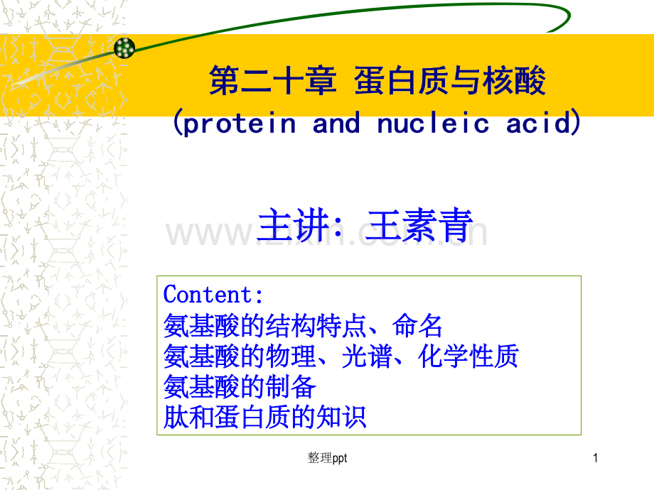 《蛋白质与核酸修改》.ppt_第1页