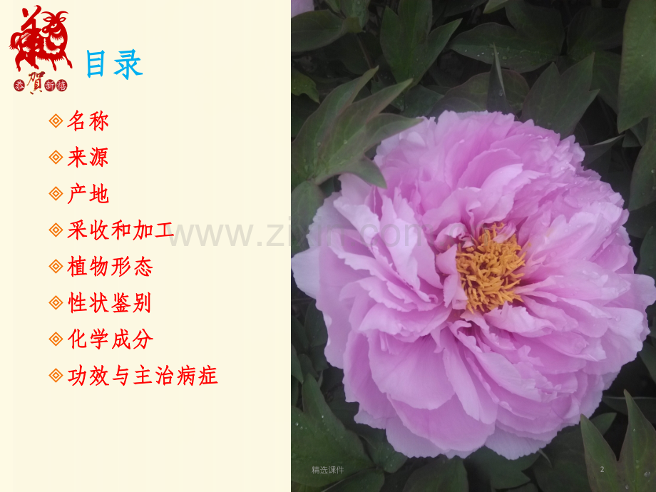 药用植物——牡丹.ppt_第2页