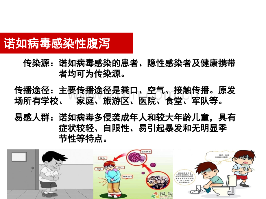 诺如病毒感染性腹泻.ppt_第2页