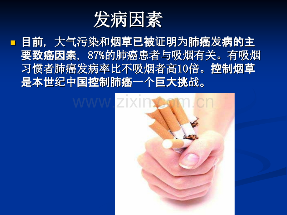 肺癌治疗方法.ppt_第3页