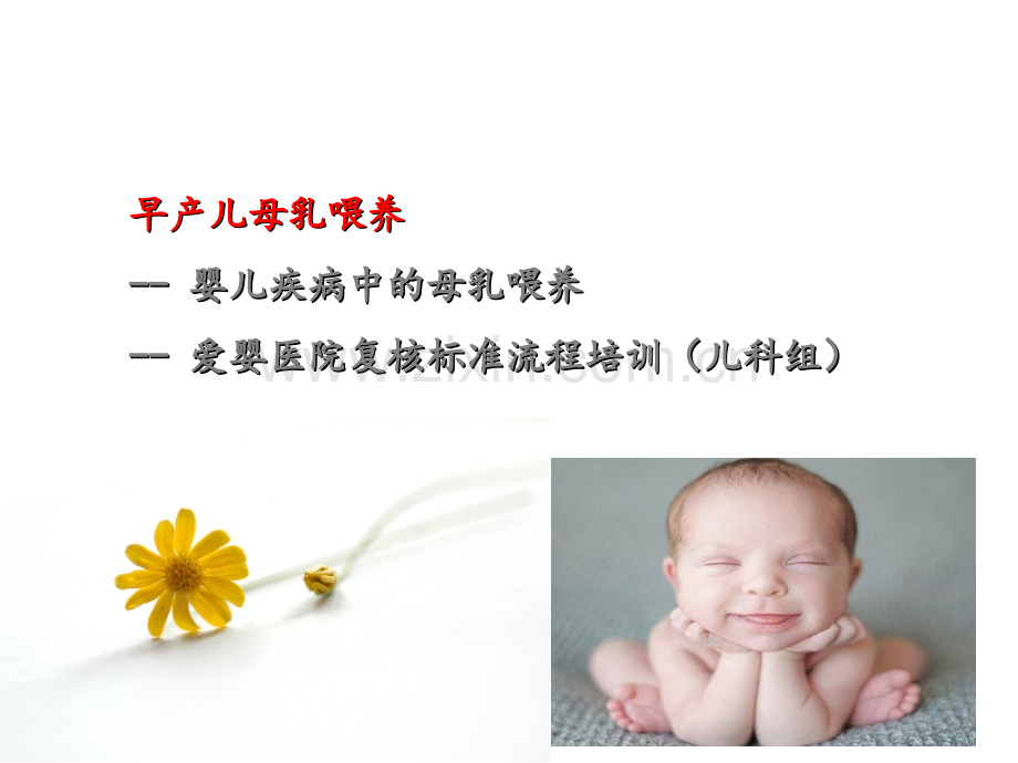 复核儿科组.ppt_第3页