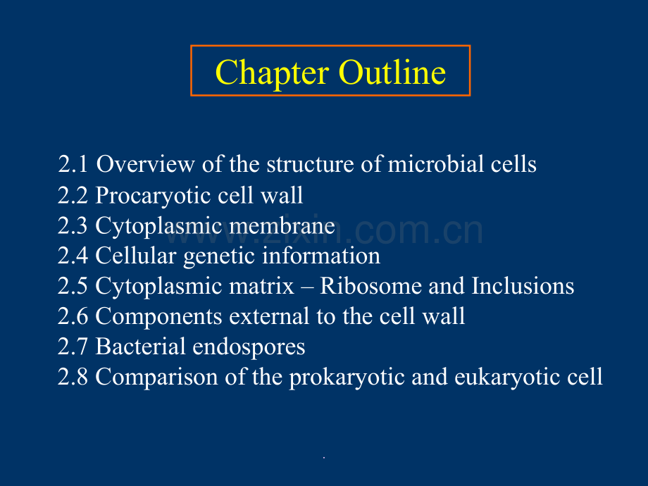 华中农业大学微生物学第二章.ppt_第2页