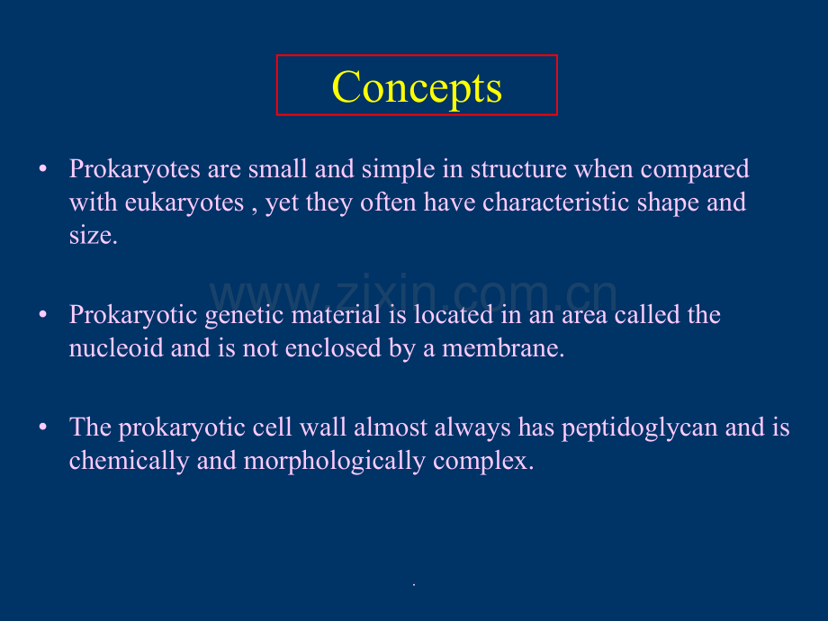 华中农业大学微生物学第二章.ppt_第3页