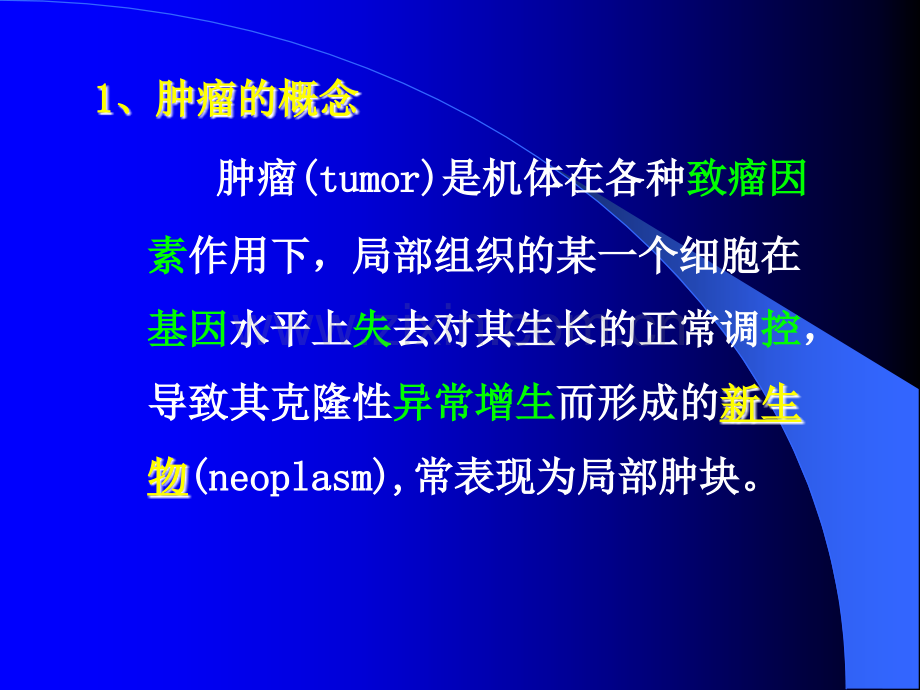 肿瘤病理形态.ppt_第2页