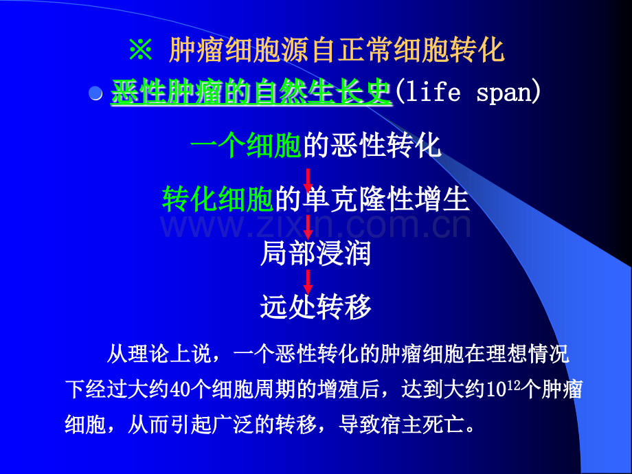 肿瘤病理形态.ppt_第3页