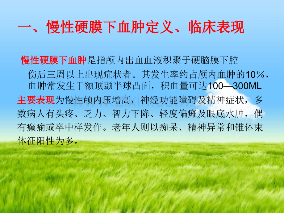 慢性硬膜下血肿的护理查房.ppt_第3页