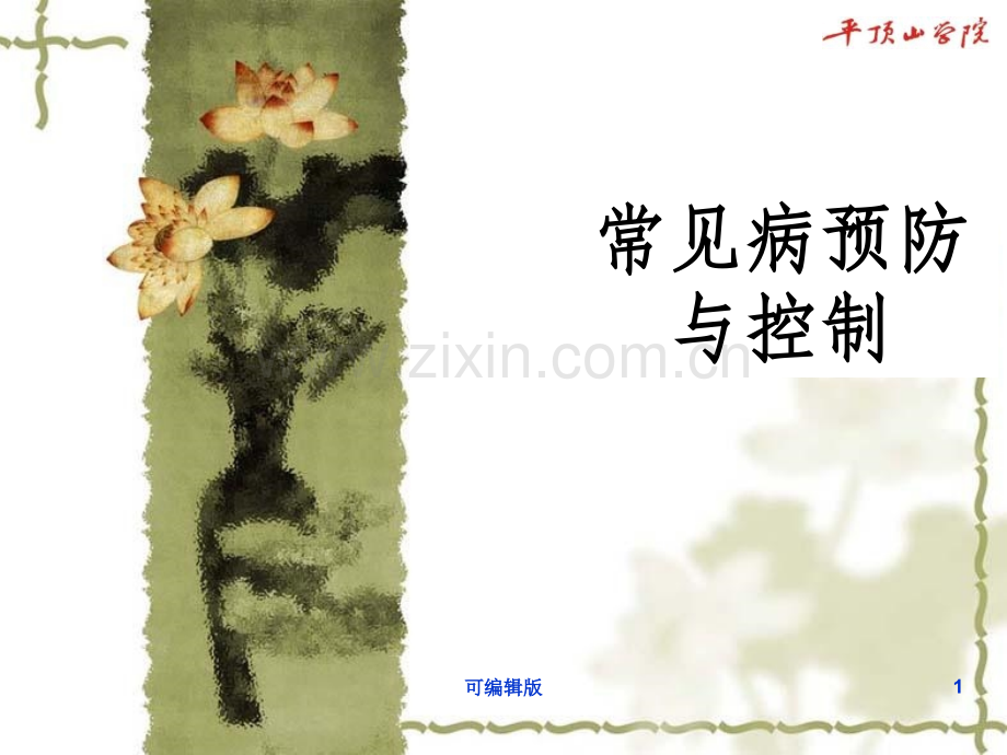 正常人体结构及功能.ppt_第1页