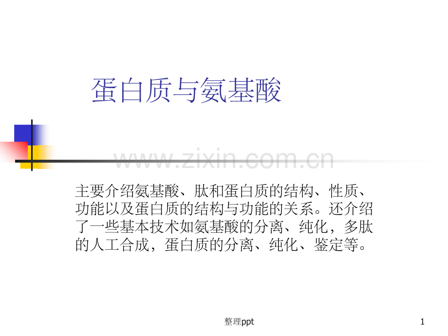 《蛋白质与氨基酸》.ppt_第1页