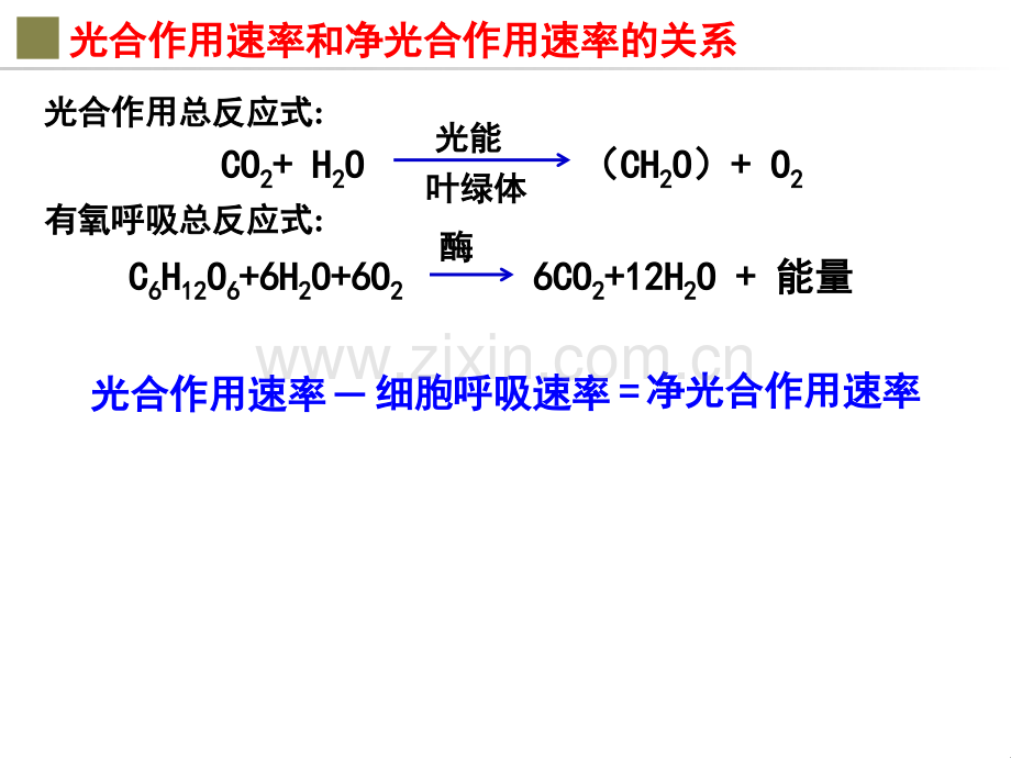 光合作用速率与净光合作用速率的关系.ppt_第2页