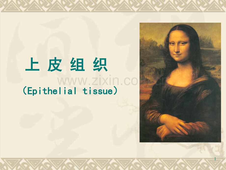 组织学上皮组织.ppt_第1页