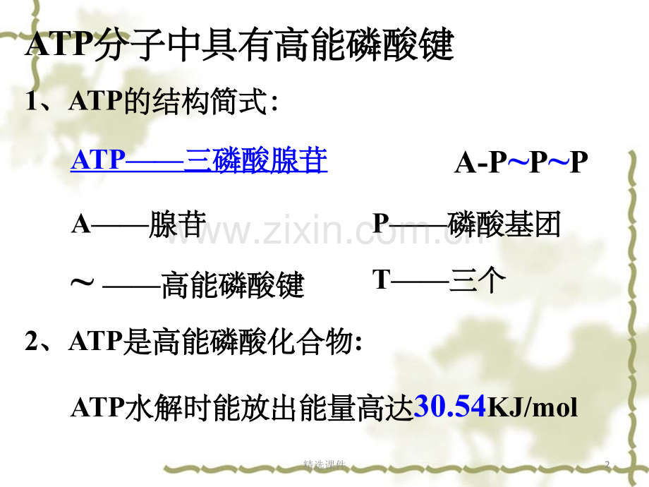 ATP-ATP的主要来源——细胞呼吸.ppt_第2页