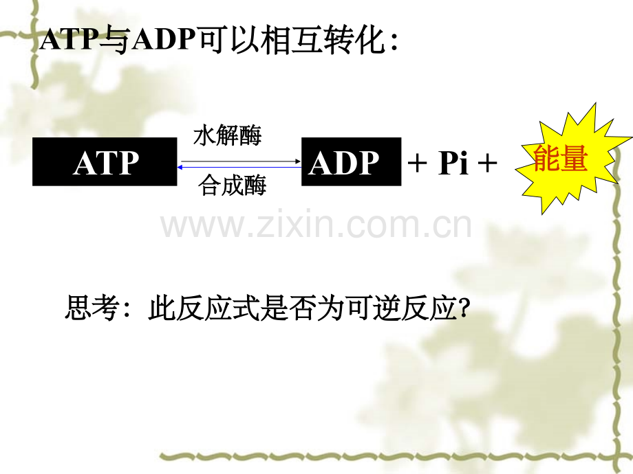 ATP-ATP的主要来源——细胞呼吸.ppt_第3页