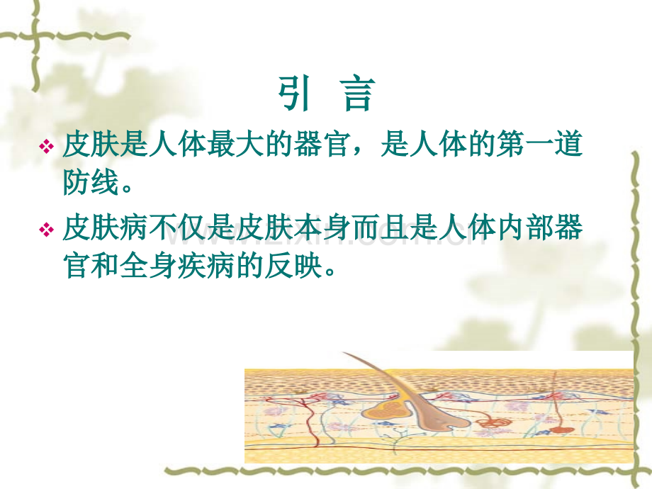 瘙痒斑疹PPT医学.ppt_第2页