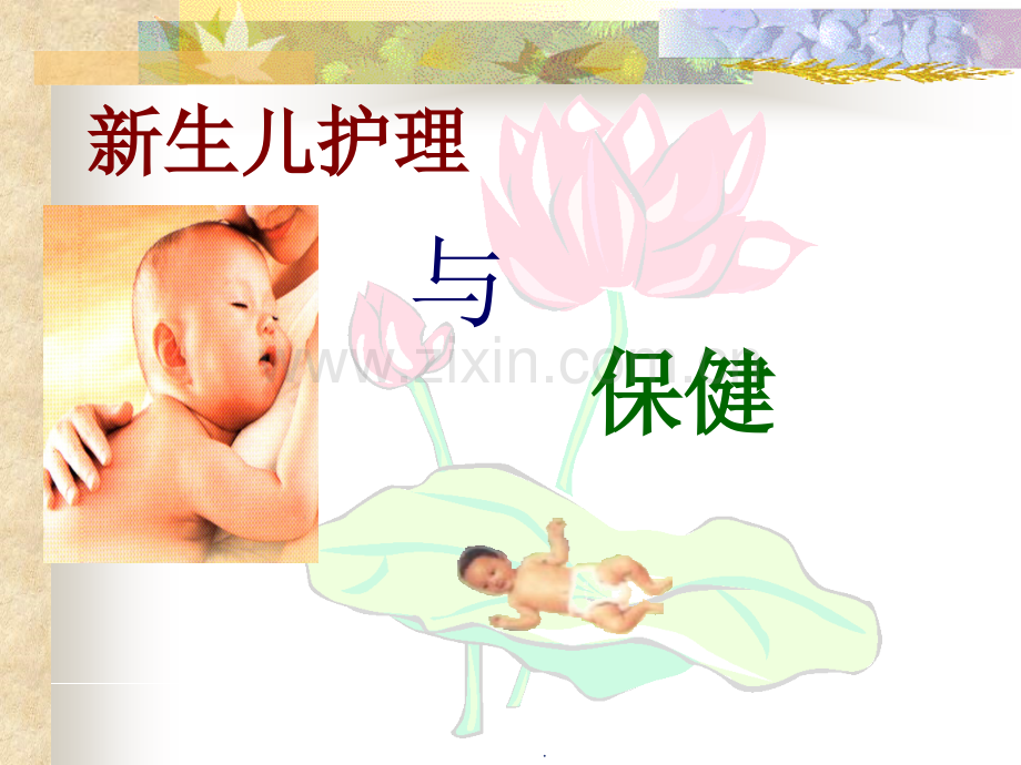 母婴护理教学.ppt_第2页