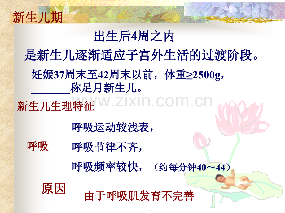 母婴护理教学.ppt_第3页