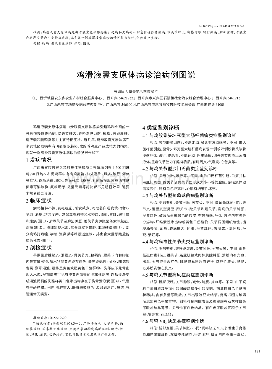 鸡滑液囊支原体病诊治病例图说.pdf_第1页