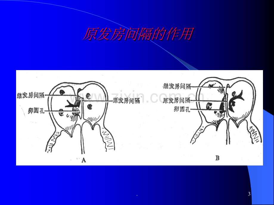 房缺自主学习---刘闯.ppt_第3页