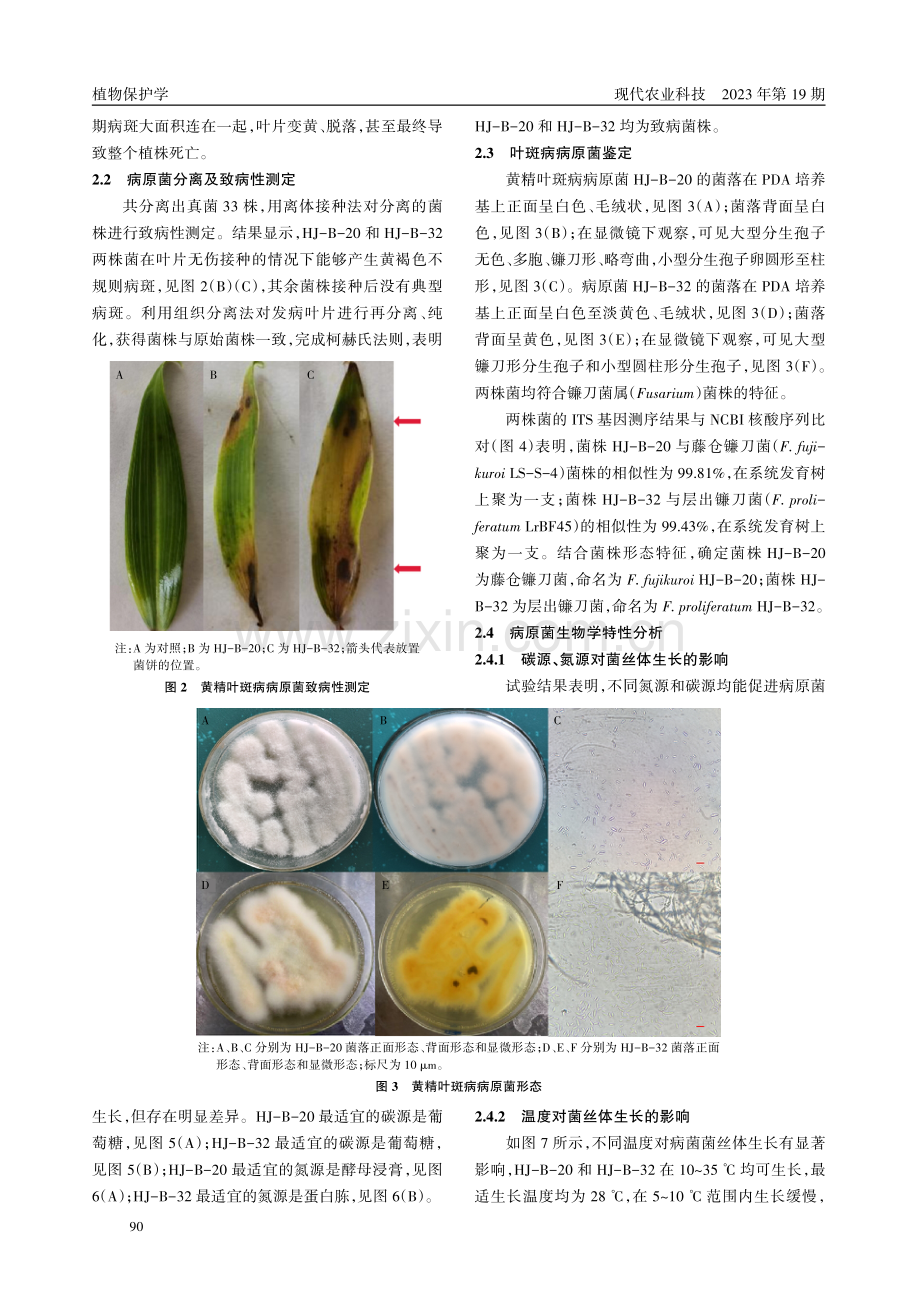 黄精叶斑病病原菌分离鉴定及其生物学特性研究.pdf_第3页