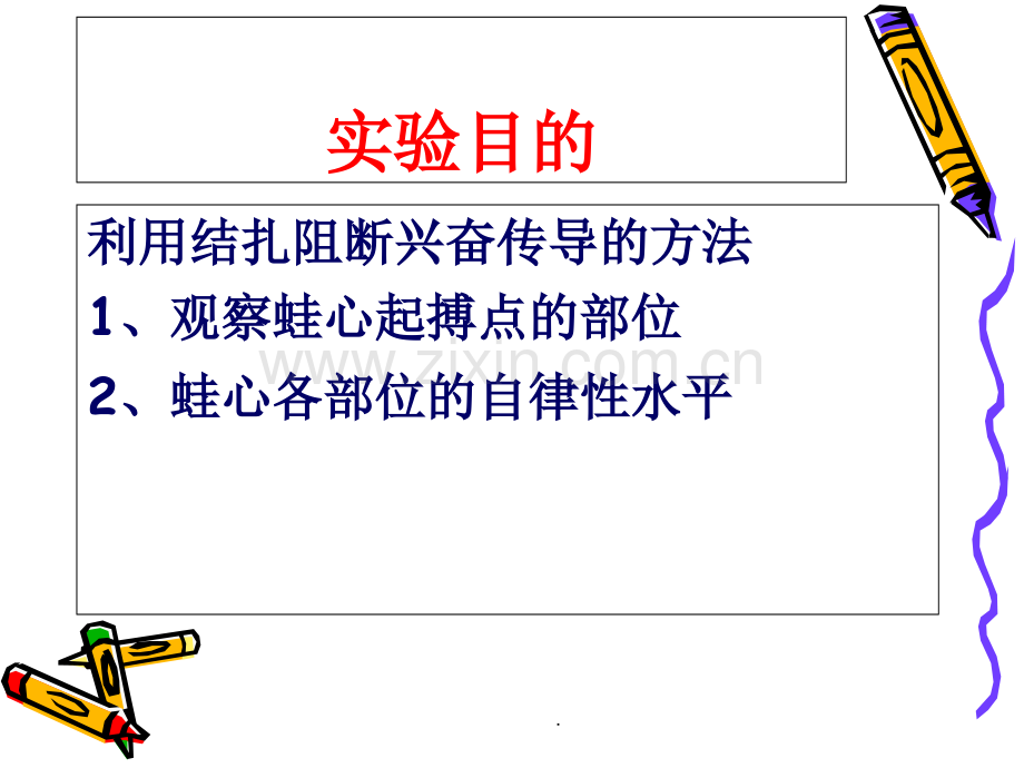 蛙心起搏点的分析`期前收缩和代偿间歇(4学时).ppt_第3页